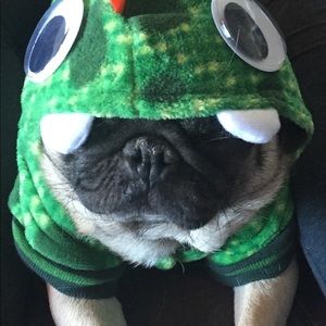 Meet your Posher, Marla